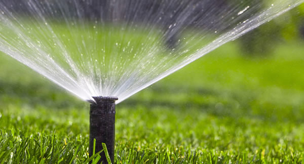 Greensboro Irrigation System